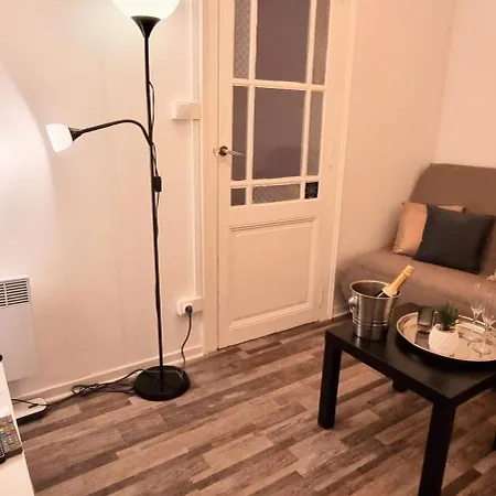 公寓 Le Parc Authentique Coeur De Proximite Parking Climatise 塞特港